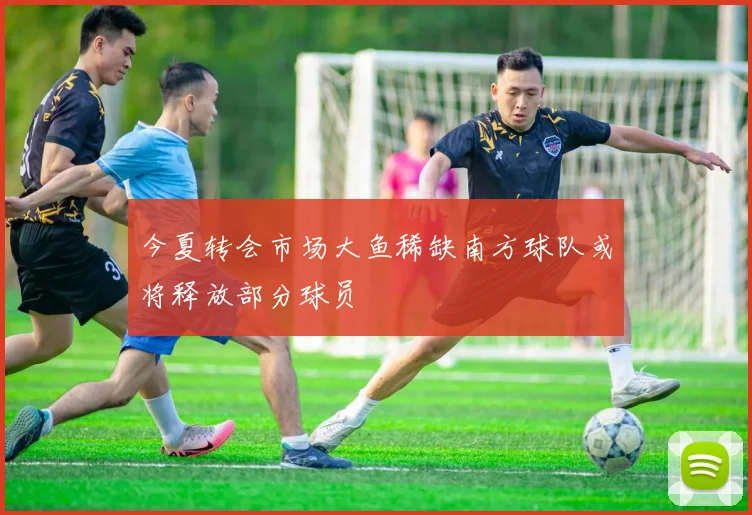 今夏转会市场大鱼稀缺南方球队或将释放部分球员
