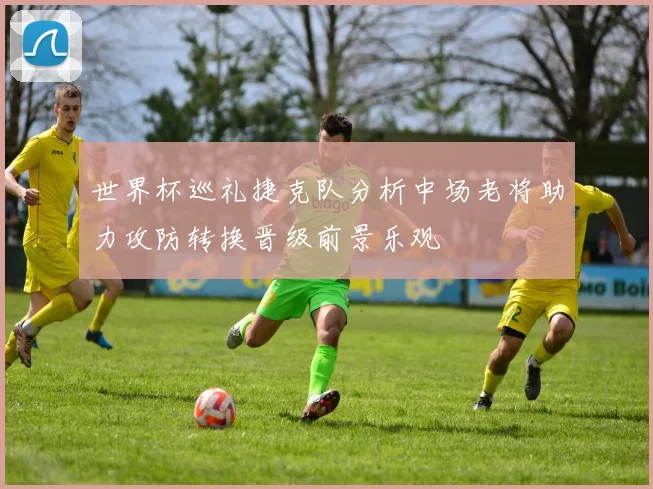 世界杯巡礼捷克队分析中场老将助力攻防转换晋级前景乐观