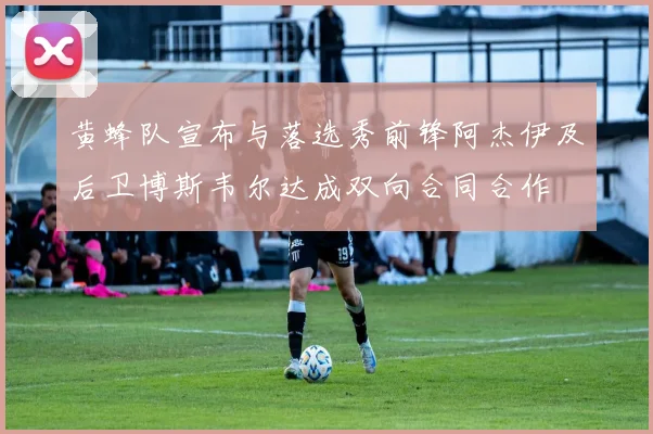 黄蜂队宣布与落选秀前锋阿杰伊及后卫博斯韦尔达成双向合同合作