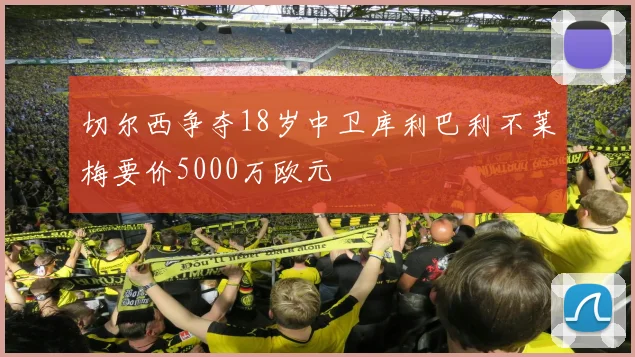 切尔西争夺18岁中卫库利巴利不莱梅要价5000万欧元